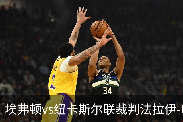埃弗顿vs纽卡斯尔联裁判法拉伊-哈勒姆数据：近20场0红66黄6点