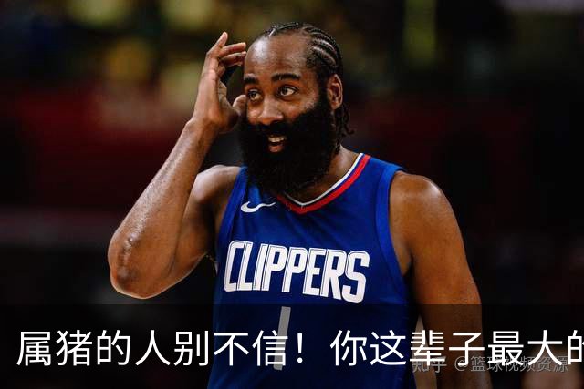 属猪的人别不信！你这辈子最大的靠山，根本不是钱