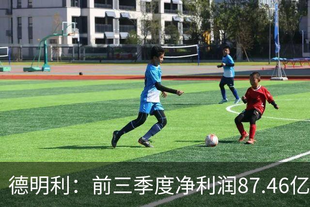 德明利：前三季度净利润87.46亿元 同比增长32399.91%