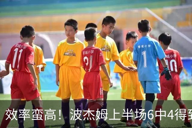 效率蛮高！波杰姆上半场6中4得到11分1板1助2断 三分2中1