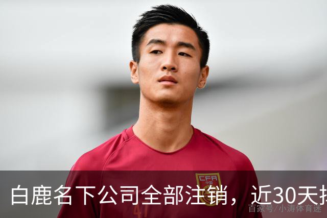 白鹿名下公司全部注销，近30天掉粉超144万，独立运营过渡期引关注
