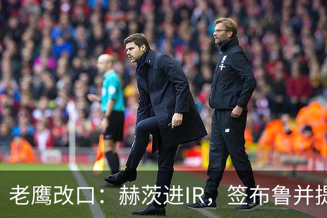 老鹰改口：赫茨进IR，签布鲁并提拔两人