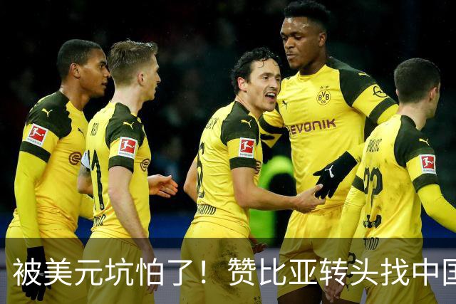 被美元坑怕了！赞比亚转头找中国：铜矿换人民币，这买卖划算！