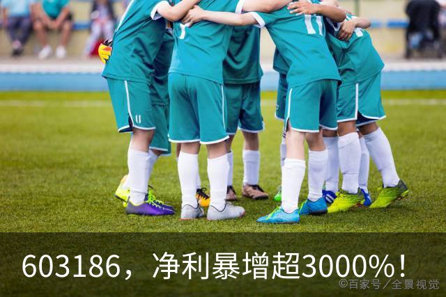 603186，净利暴增超3000%！